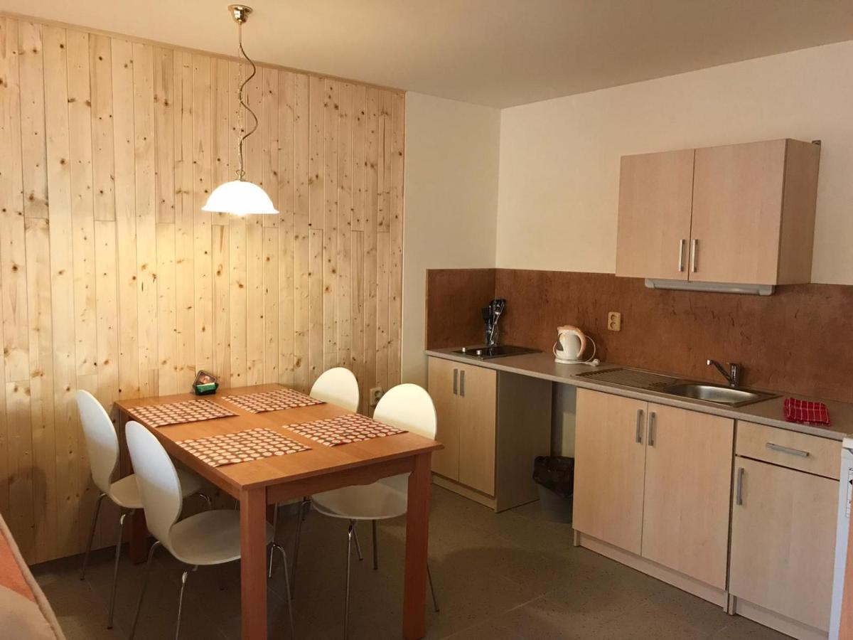 Studia Pod Lysou Rokytnice nad Jizerou Exterior foto